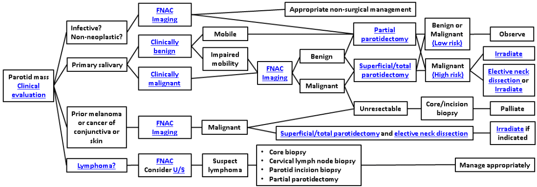 AfHNS parotid tumour and cancer guidelines