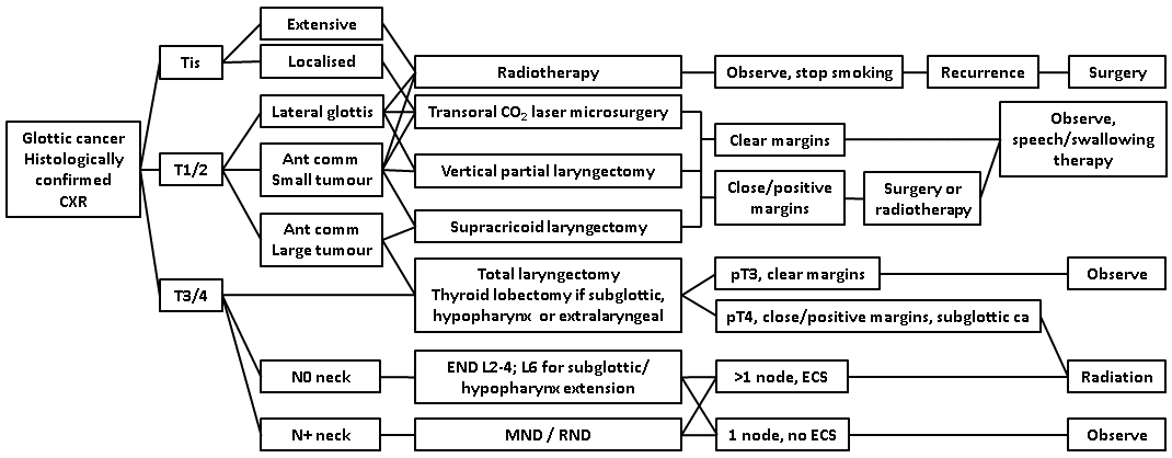 afhns clinical practice guidelines glottic cancer