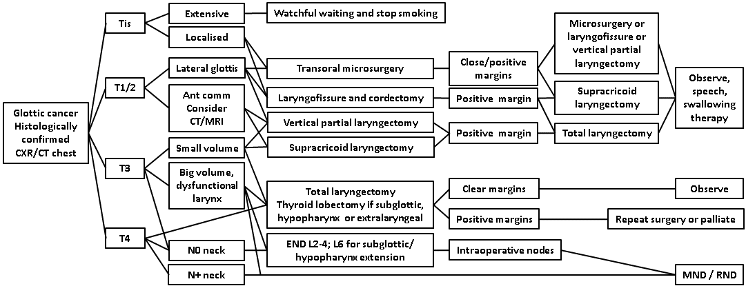 afhns-clinical-practice-guidelines-glottic-cancer-10.png
