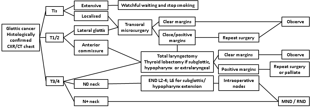 afhns-clinical-practice-guidelines-glottic-cancer-12.png