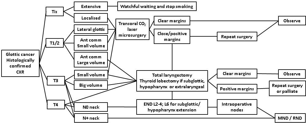 afhns-clinical-practice-guidelines-glottic-cancer-13.png