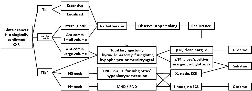 afhns-clinical-practice-guidelines-glottic-cancer-14.png