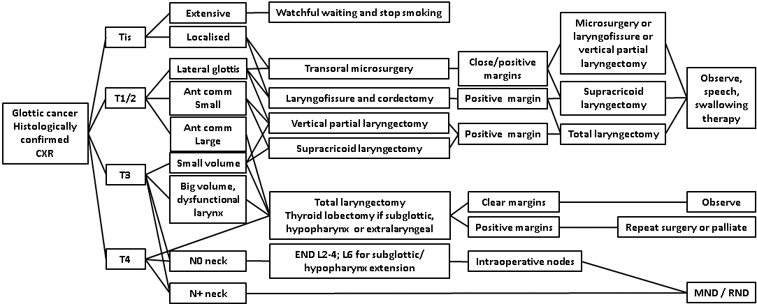 afhns-clinical-practice-guidelines-glottic-cancer-15.png
