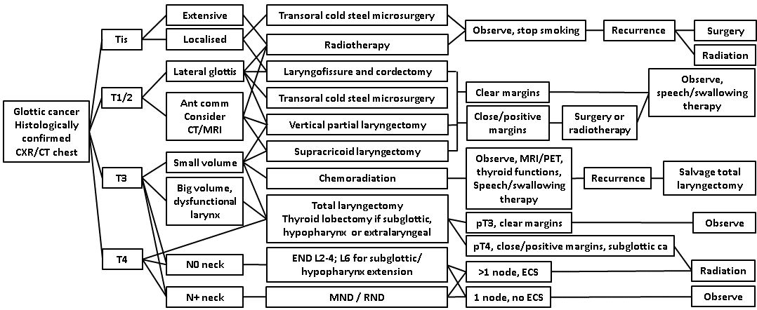 afhns-clinical-practice-guidelines-glottic-cancer-2.png