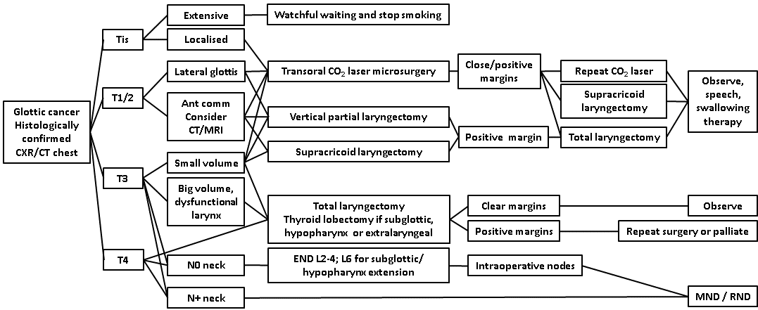 afhns clinical practice guidelines glottic cancer