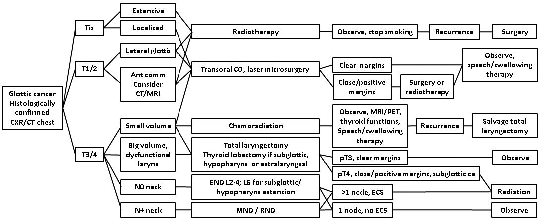 afhns clinical practice guidelines glottic cancer