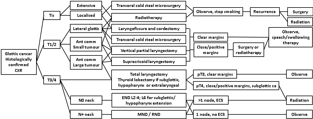 afhns-clinical-practice-guidelines-glottic-cancer-6.png
