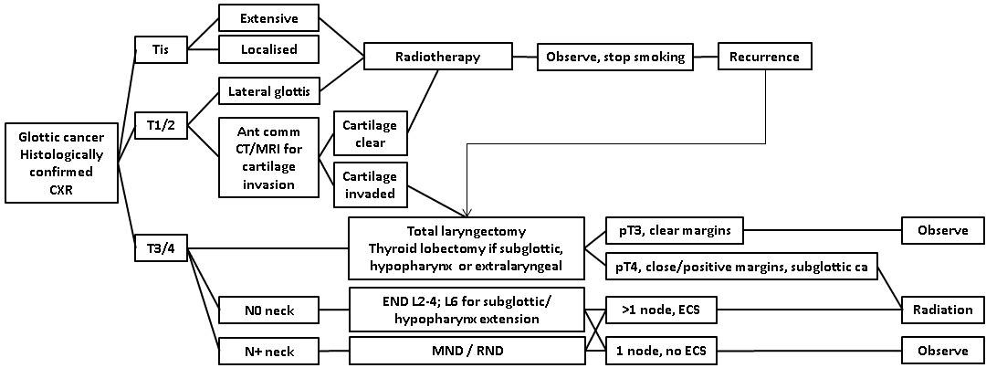 afhns-clinical-practice-guidelines-glottic-cancer-9.png