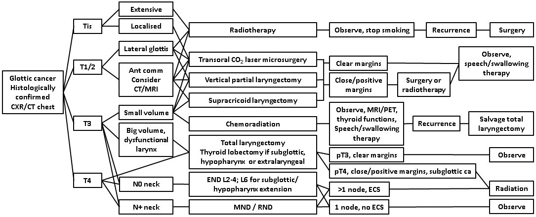 afhns-clinical-practice-guidelines-glottic-cancer.png