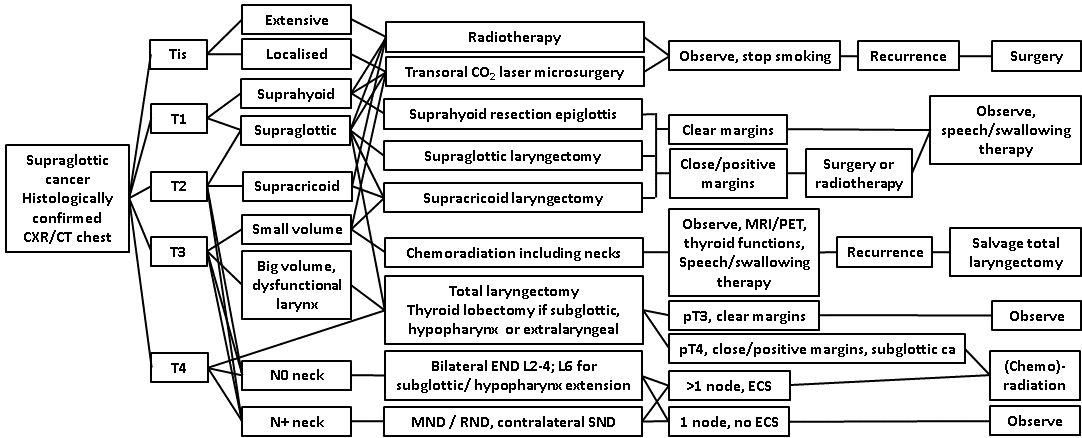 afhns-clinical-practice-guidelines-supraglottic-cancer-7.png