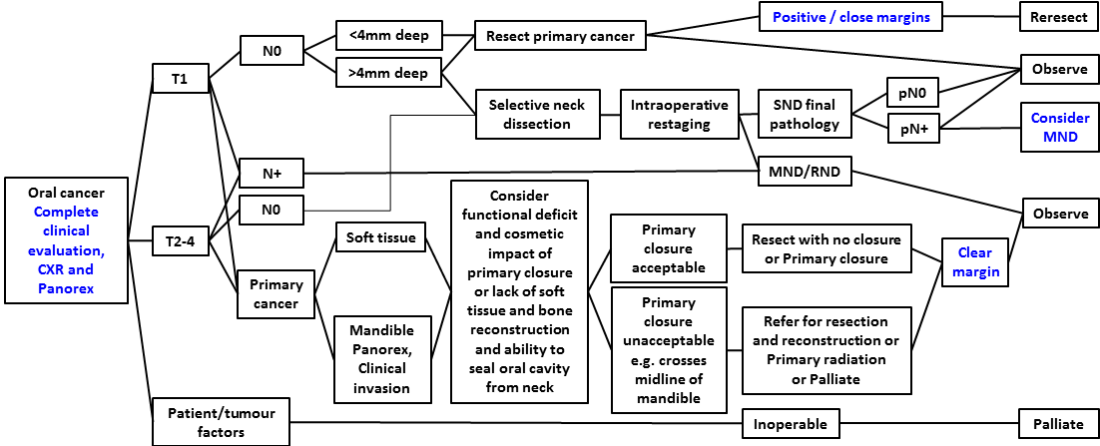 AfHNS Clinical Practice Guidelines Tongue FOM