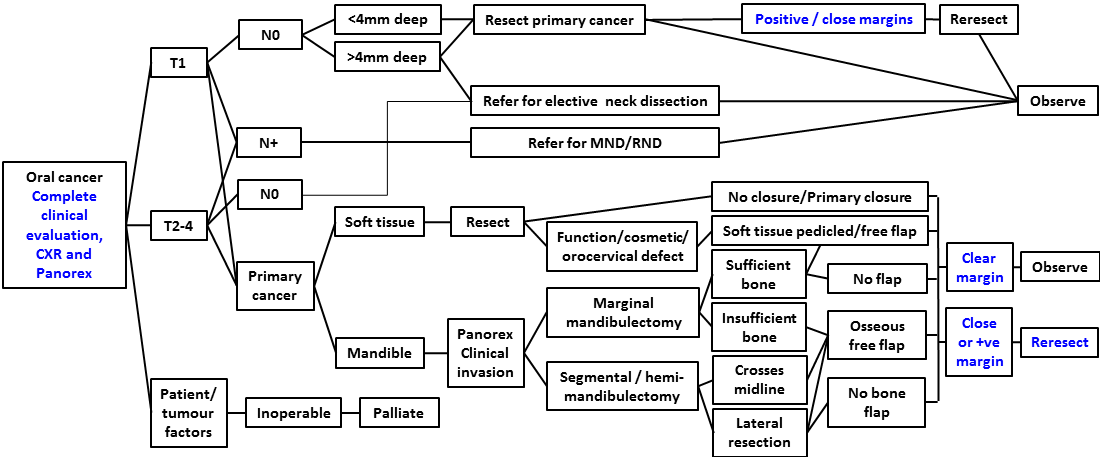 afhns-clinical-practice-guidelines-tongue-fom-17.png