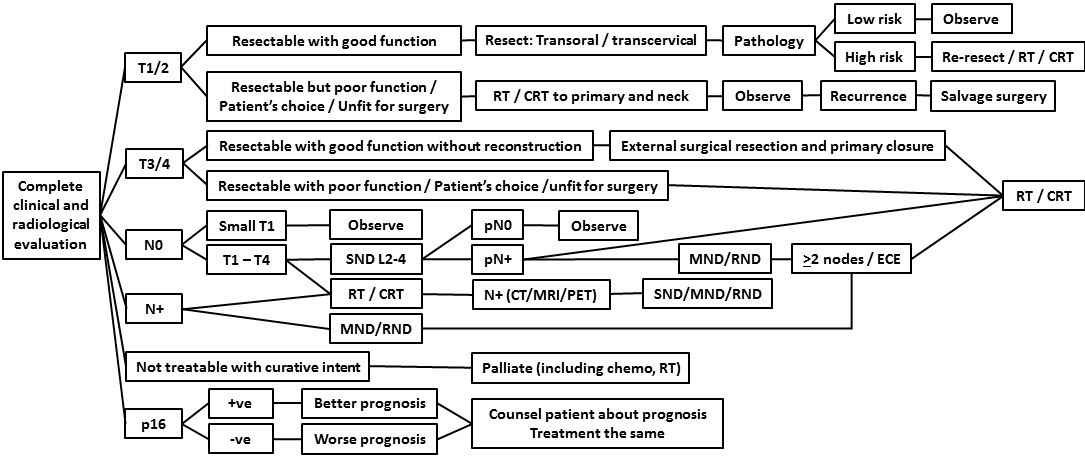 AFHNS OPC guidelines
