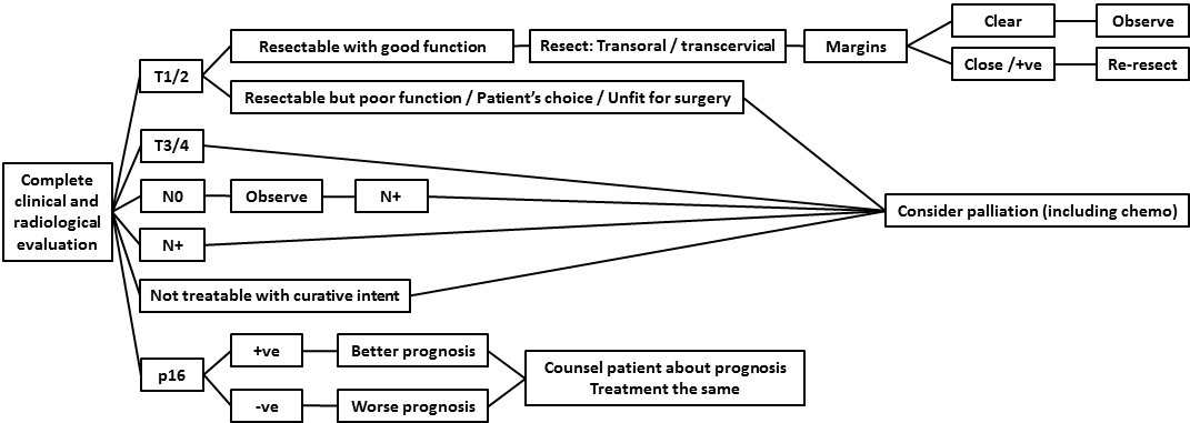 AFHNS OPC guidelines 12