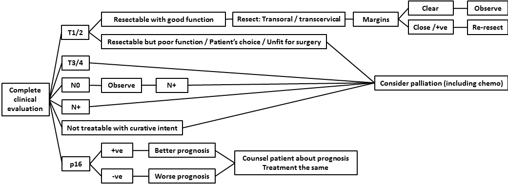 AFHNS OPC guidelines 14