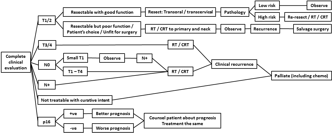 AFHNS OPC guidelines 15