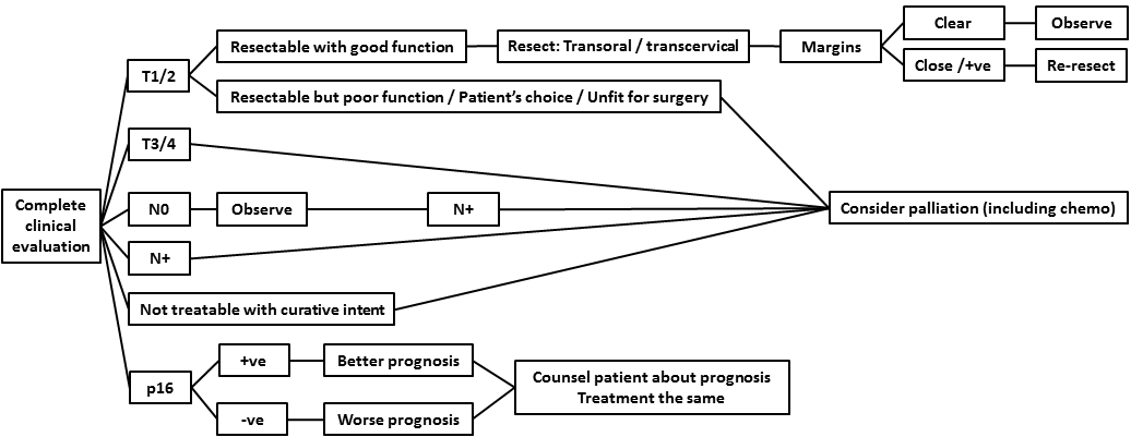 AFHNS OPC guidelines 16