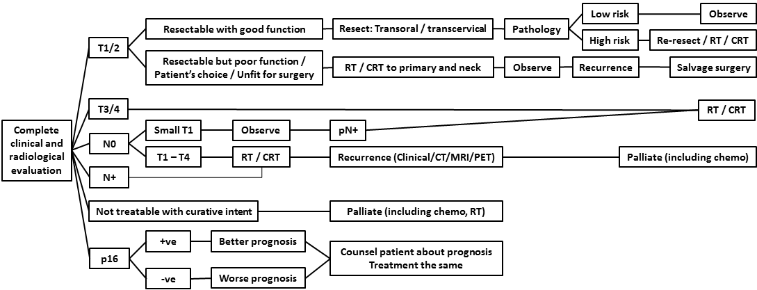AFHNS OPC guidelines 3