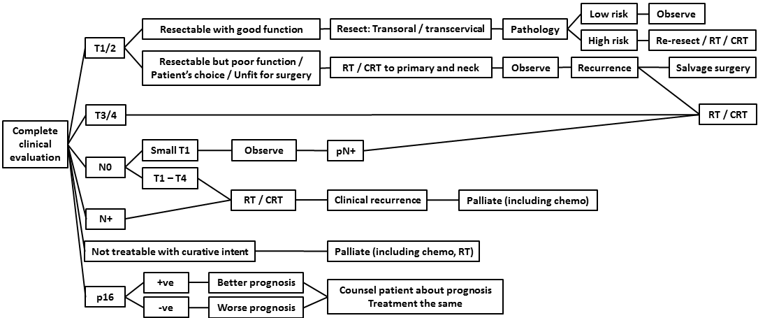 AFHNS OPC guidelines 6