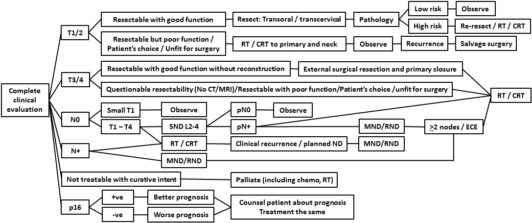 AFHNS OPC guidelines 7