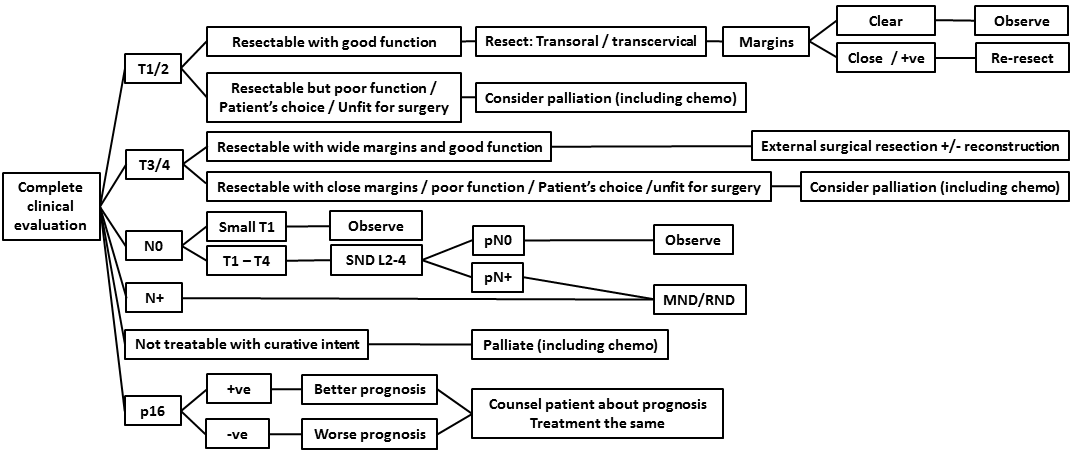 AFHNS OPC guidelines 8