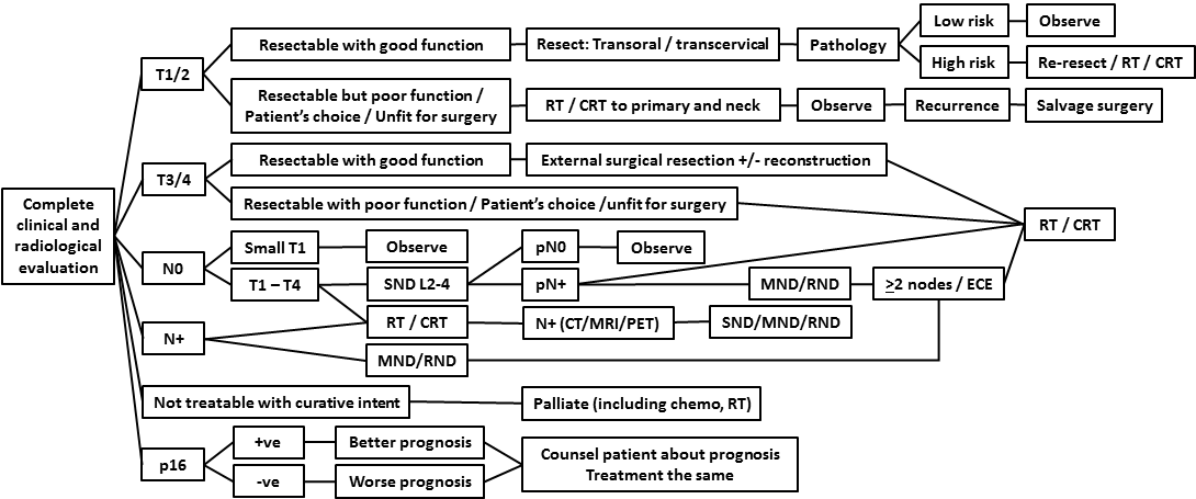 AFHNS OPC guidelines scnario 1