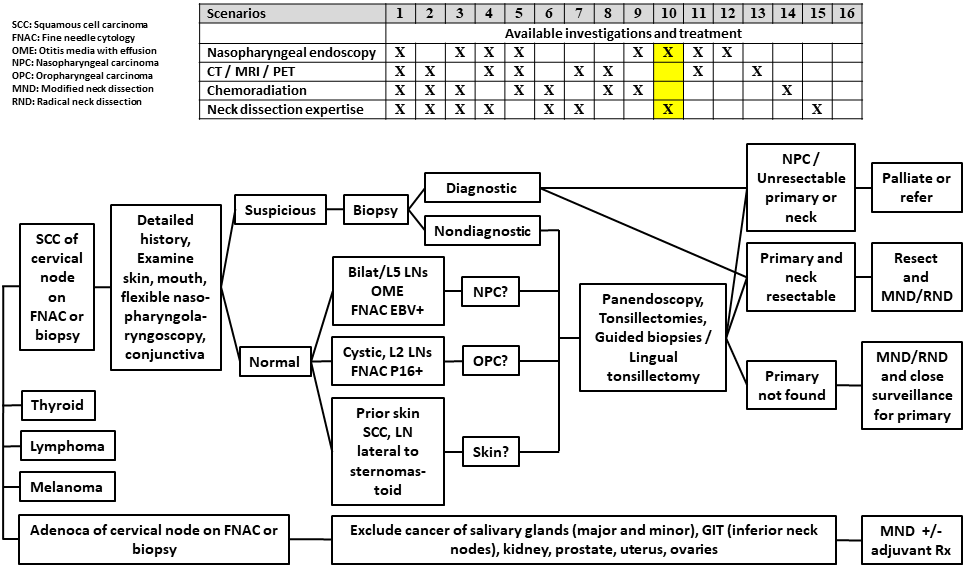 AFHNS CUP Scenario 10