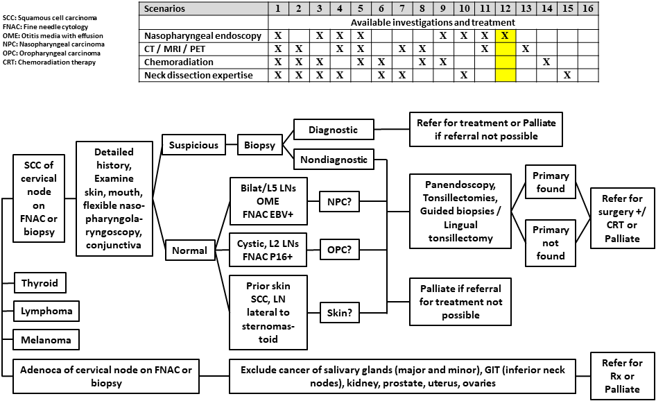 AFHNS CUP Scenario 12