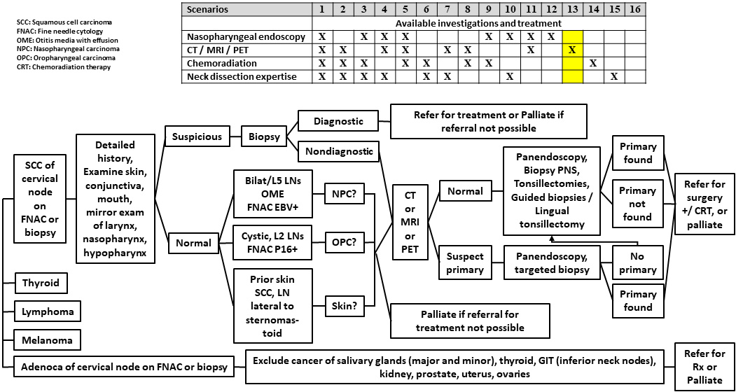 AFHNS CUP Scenario 13