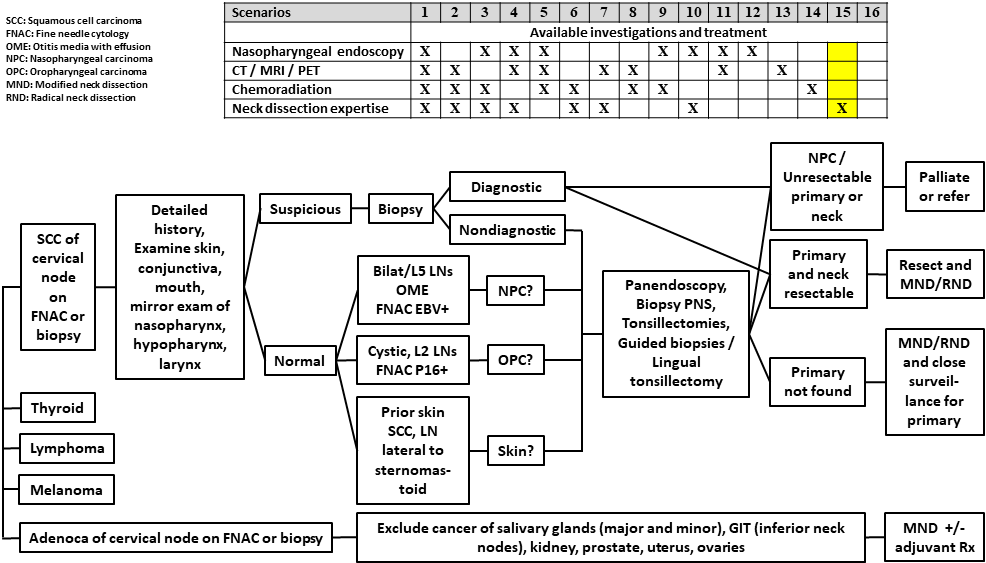 AFHNS CUP Scenario 14