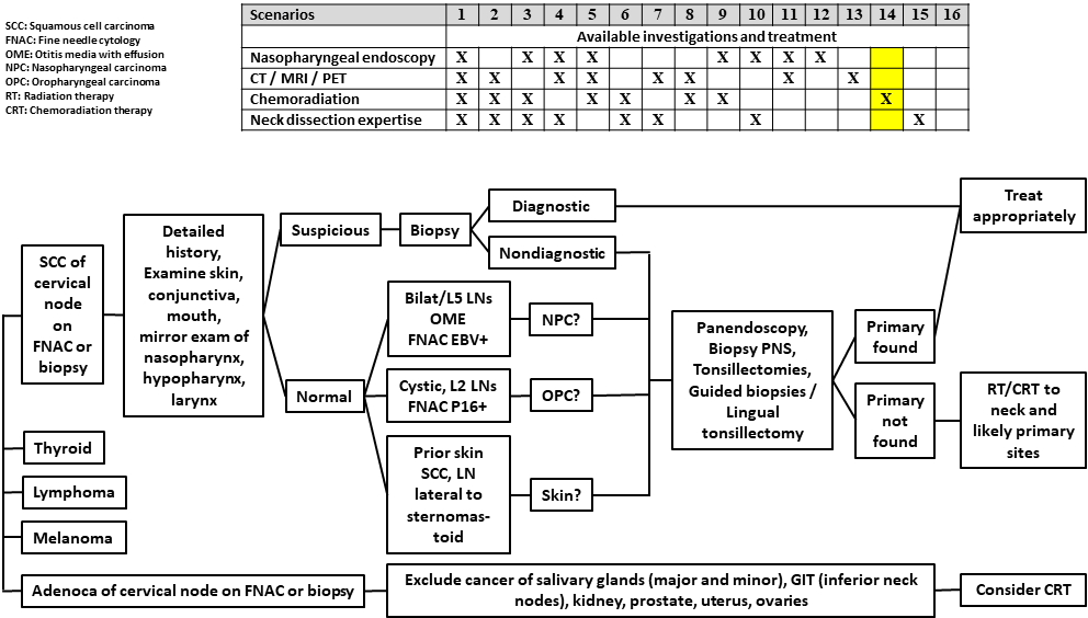AFHNS CUP Scenario 14