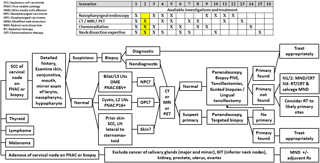 AFHNS CUP Scenario 2