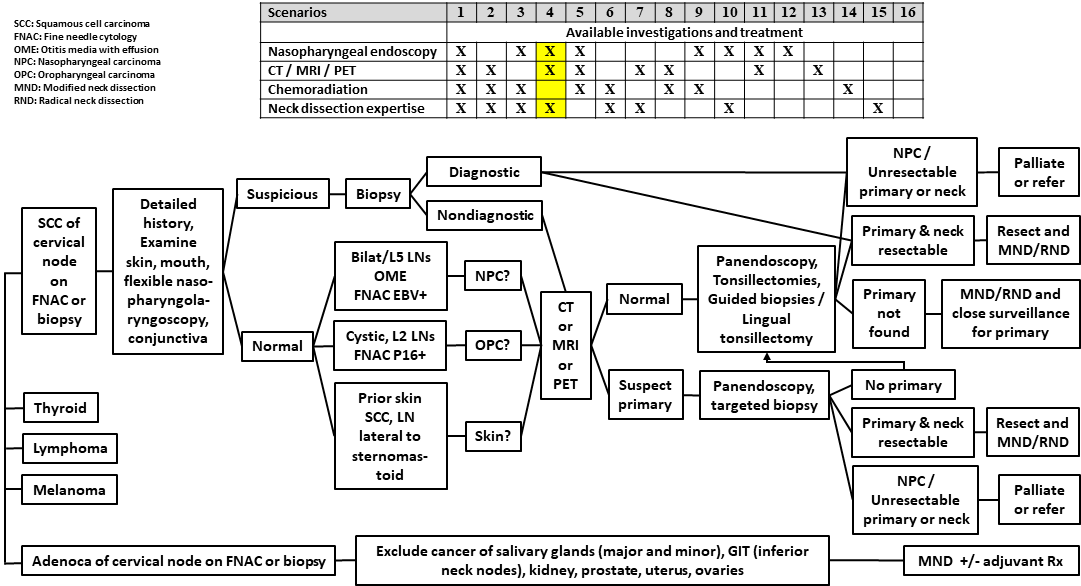 AFHNS CUP Scenario 4