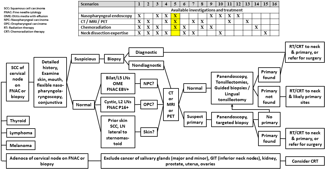 AFHNS CUP Scenario 5