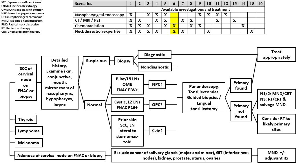 AFHNS CUP Scenario 6