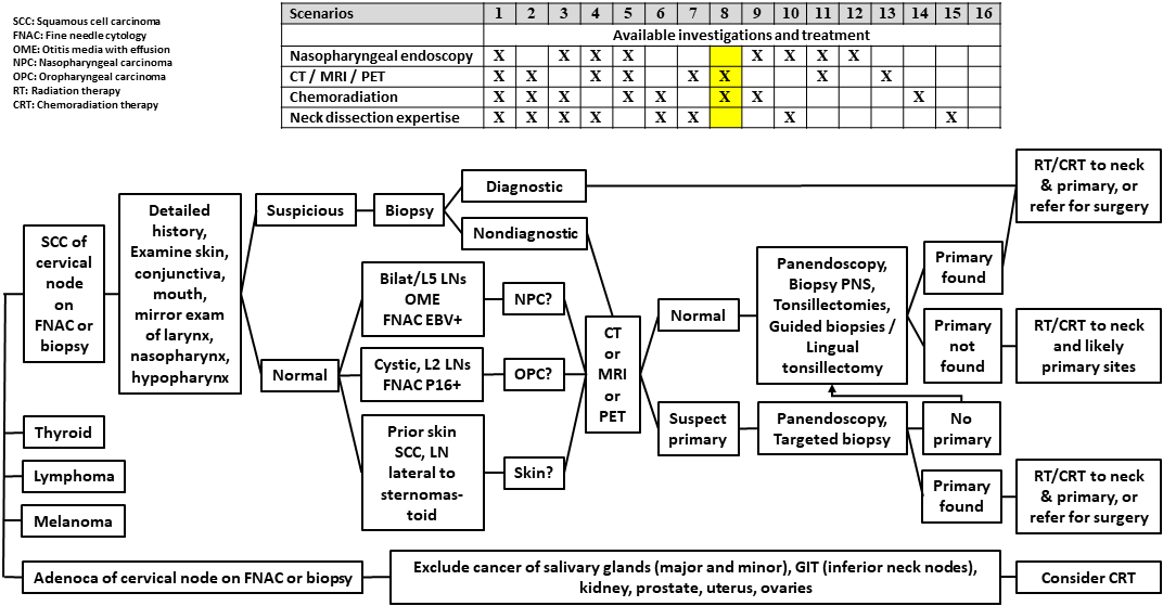 AFHNS CUP Scenario 8