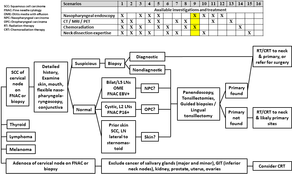 AFHNS CUP Scenario 9