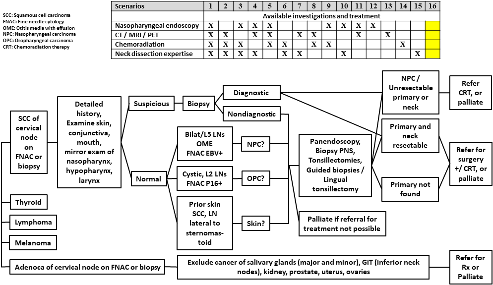 AFHNS Unknown primary guidelines 16