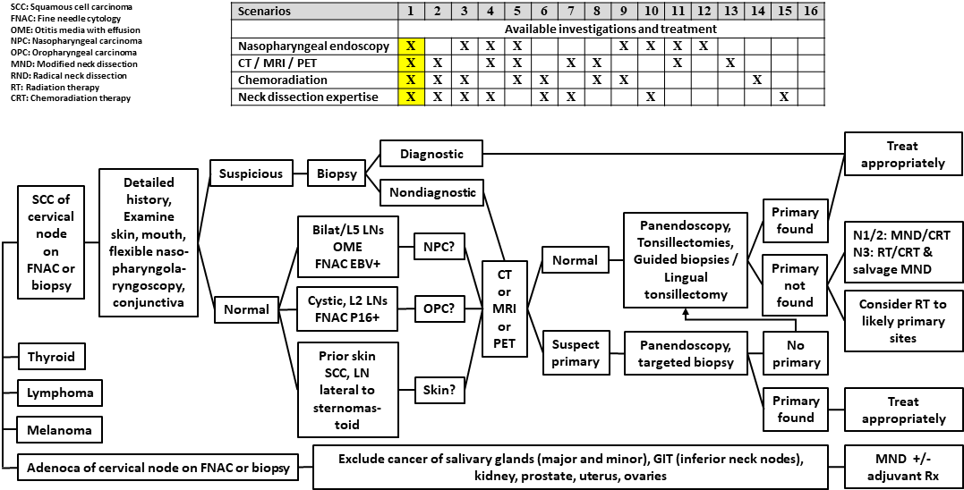 AFHNS Unknown primary guidelines Scenario 1